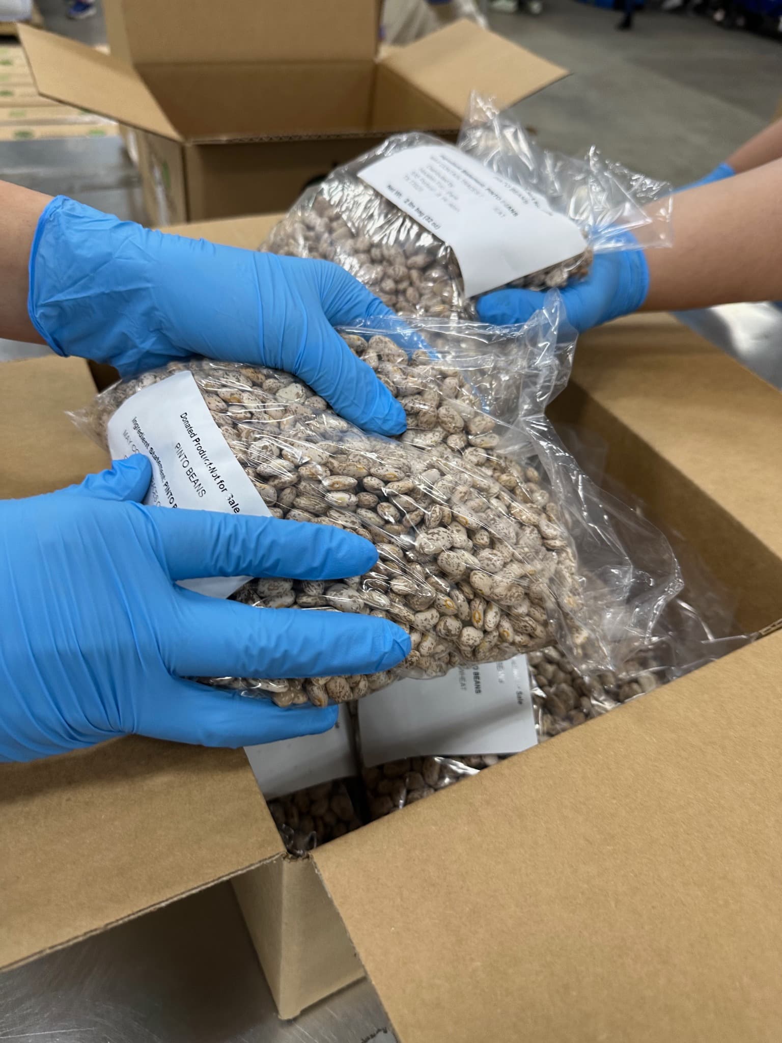 Gloved hands sorting bagged food donations for distribution